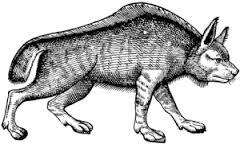 Le loup de Wolfburn