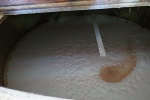 Le mout en fermentation chez Glenfarclas on distingue le « switcher ».